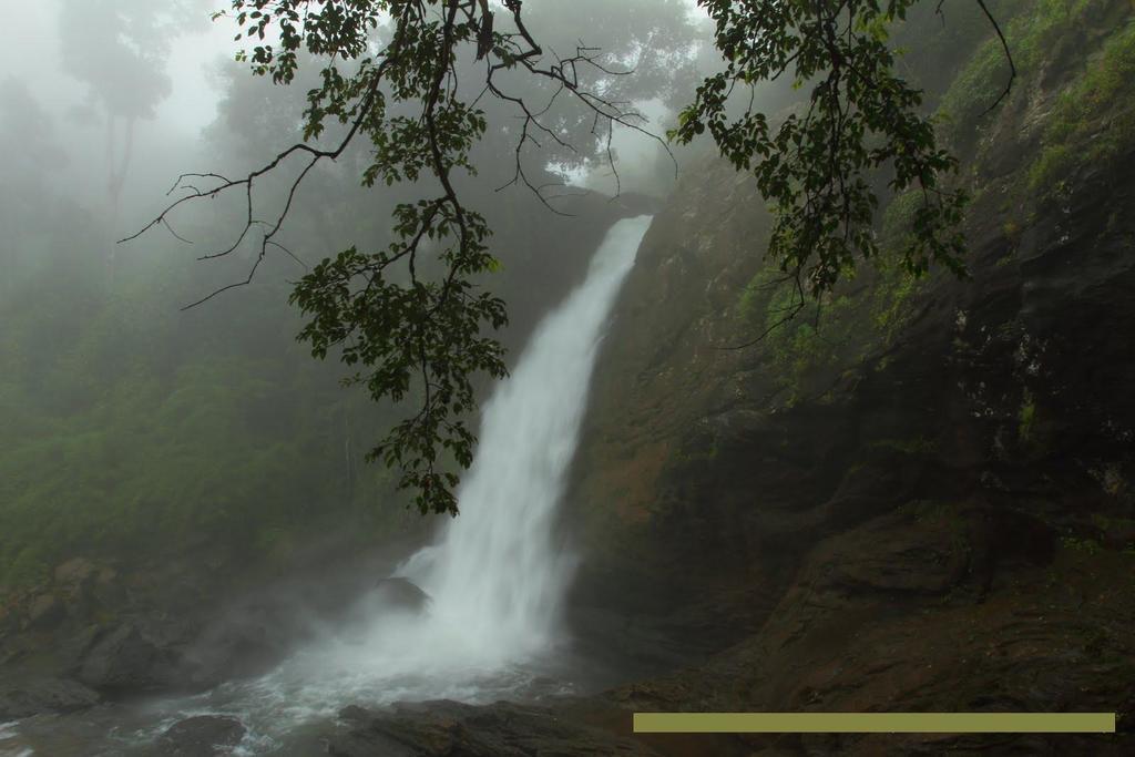 Wayanad Gate Resort Mananthavady Buitenkant foto
