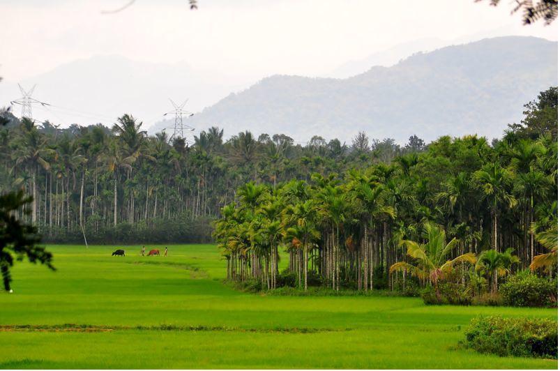 Wayanad Gate Resort Mananthavady Buitenkant foto