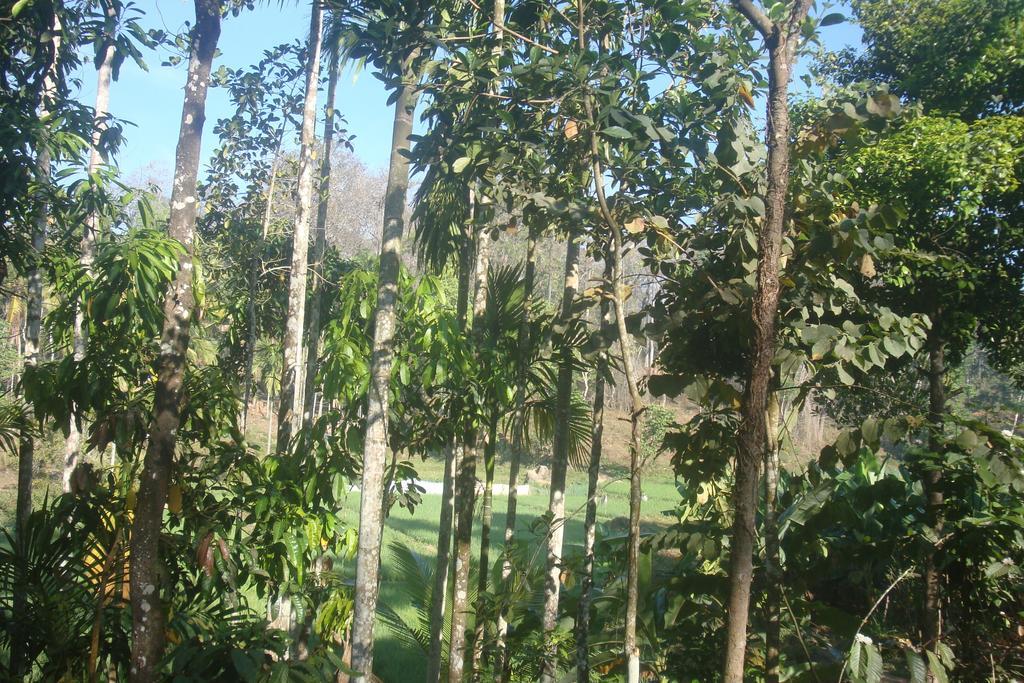 Wayanad Gate Resort Mananthavady Buitenkant foto