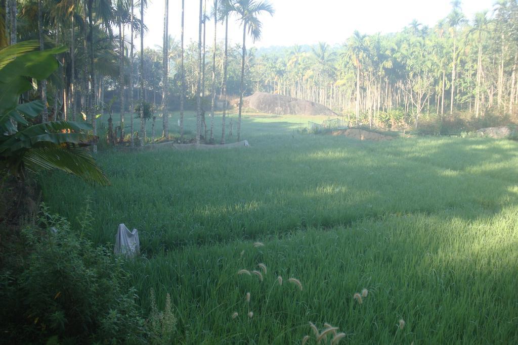 Wayanad Gate Resort Mananthavady Buitenkant foto